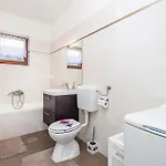 Pet Friendly In *